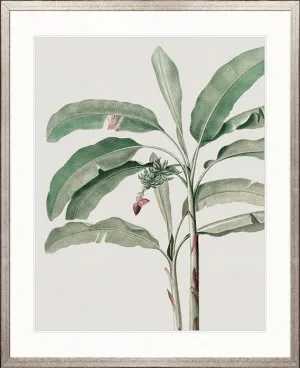 Bellevardi Tropic IV by Designer Boys, a Premium Art for sale on Style Sourcebook