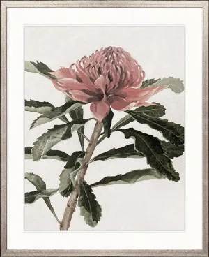 Native Bloom IV by Designer Boys, a Premium Art for sale on Style Sourcebook