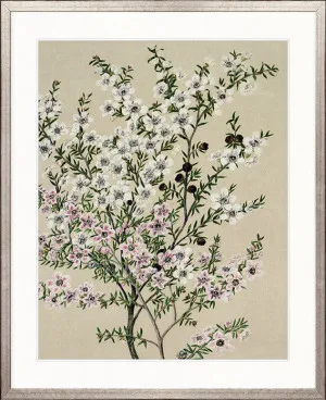 Coastal Native II by Designer Boys, a Premium Art for sale on Style Sourcebook