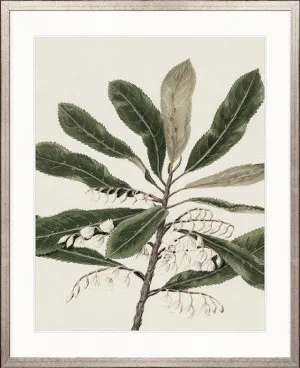 Hasting Native IV by Designer Boys, a Premium Art for sale on Style Sourcebook