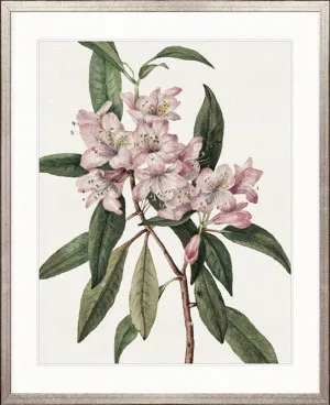 Phillipson Floral II by Designer Boys, a Premium Art for sale on Style Sourcebook