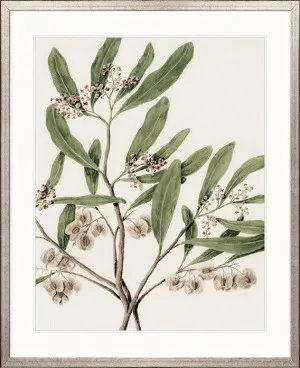 Hasting Native I by Designer Boys, a Premium Art for sale on Style Sourcebook