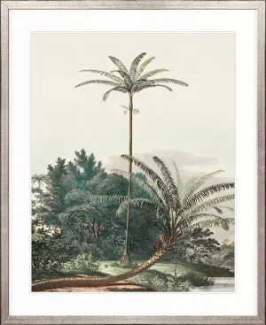 Vintage Palm Study III by Designer Boys, a Premium Art for sale on Style Sourcebook