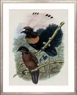 Birds in Paradise III by Designer Boys, a Premium Art for sale on Style Sourcebook