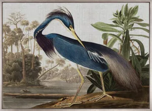 Exquisite Bird VII (Canvas) by Designer Boys, a Premium Art for sale on Style Sourcebook