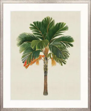 Kebaya Palm VI by Designer Boys, a Premium Art for sale on Style Sourcebook