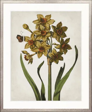 Vintage Floral I by Designer Boys, a Premium Art for sale on Style Sourcebook