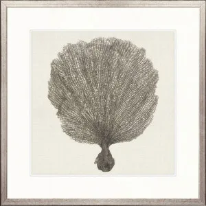 Natural Coral II by Designer Boys, a Premium Art for sale on Style Sourcebook