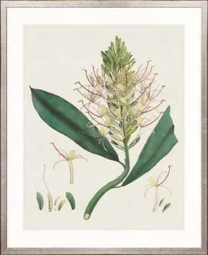 Exotic Garden I by Designer Boys, a Premium Art for sale on Style Sourcebook