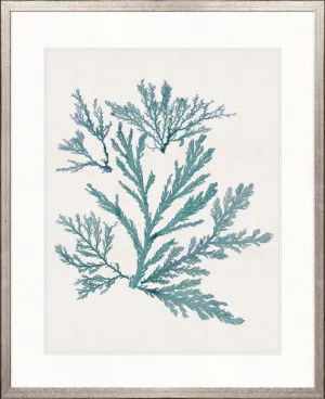 Seaweed Subject I (Blue) by Designer Boys, a Premium Art for sale on Style Sourcebook