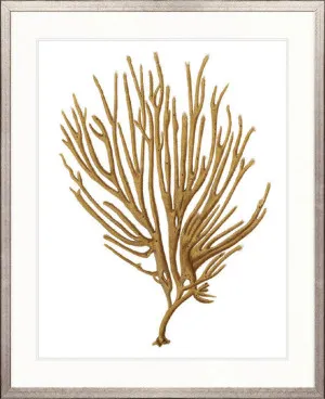 Exotic Coral VI by Designer Boys, a Premium Art for sale on Style Sourcebook