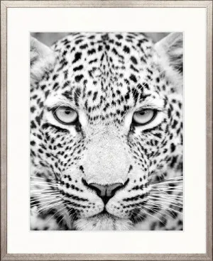 Safari Life V by Designer Boys, a Premium Art for sale on Style Sourcebook
