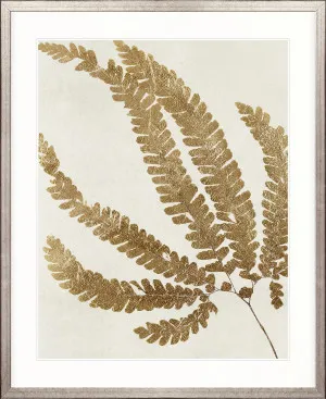Herbarium VII by Designer Boys, a Premium Art for sale on Style Sourcebook