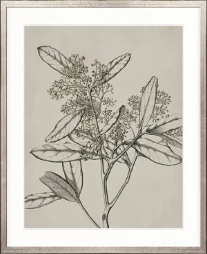 Maiden Beauty III by Designer Boys, a Premium Art for sale on Style Sourcebook