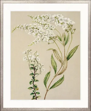 Coastal Native IV by Designer Boys, a Premium Art for sale on Style Sourcebook