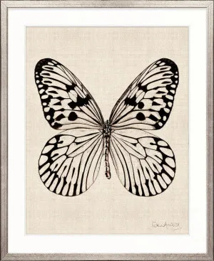 Fanciful Butterfly X by Designer Boys, a Premium Art for sale on Style Sourcebook