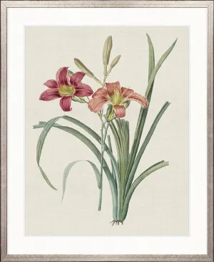 Tiverton Floral I by Designer Boys, a Premium Art for sale on Style Sourcebook