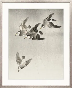 Naoko Bird VI by Designer Boys, a Premium Art for sale on Style Sourcebook