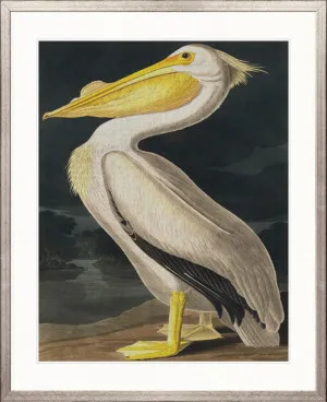 Exquisite Bird II by Designer Boys, a Premium Art for sale on Style Sourcebook