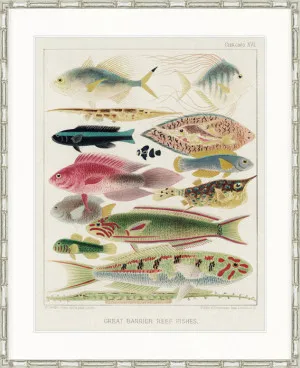 Marine Kaleidoscope II by Designer Boys, a Premium Art for sale on Style Sourcebook