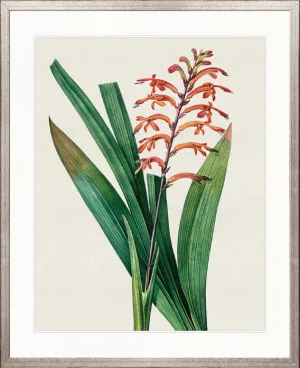 Lush Tropic V by Designer Boys, a Premium Art for sale on Style Sourcebook