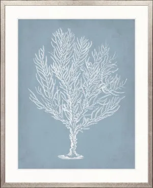 Curious Coral Delight IX by Designer Boys, a Premium Art for sale on Style Sourcebook