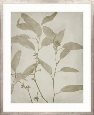 Foliage Splendour (Natural) VII by Designer Boys, a Premium Art for sale on Style Sourcebook