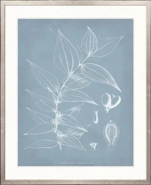 Botanical Study (Pale Blue) II by Designer Boys, a Premium Art for sale on Style Sourcebook