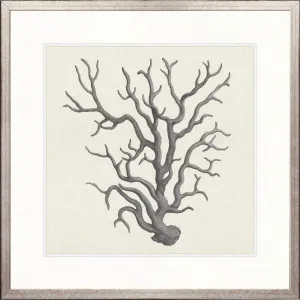 Natural Coral III by Designer Boys, a Premium Art for sale on Style Sourcebook