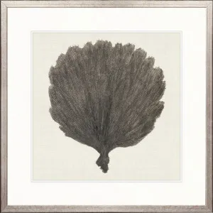 Natural Coral VI by Designer Boys, a Premium Art for sale on Style Sourcebook