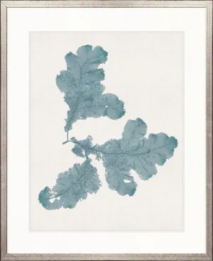 Seaweed Subject II (Blue) by Designer Boys, a Premium Art for sale on Style Sourcebook