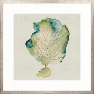 Delicate Coral IV by Designer Boys, a Premium Art for sale on Style Sourcebook