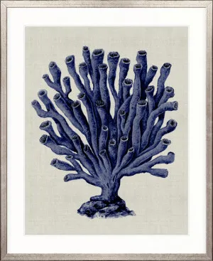 Coral SPLENDOUR (Indigo) XI by Designer Boys, a Premium Art for sale on Style Sourcebook