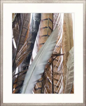 Simple Feather V by Designer Boys, a Premium Art for sale on Style Sourcebook