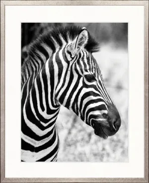 Safari Life III by Designer Boys, a Premium Art for sale on Style Sourcebook