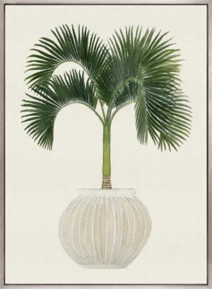 Palm Beauty VI (Canvas) by Designer Boys, a Premium Art for sale on Style Sourcebook