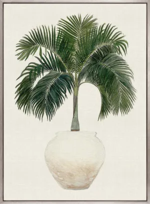 Palm Beauty I (Canvas) by Designer Boys, a Premium Art for sale on Style Sourcebook