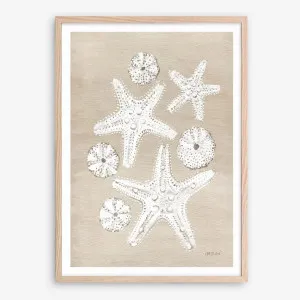 Beach Treasures I Art Print by The Print Emporium, a Prints for sale on Style Sourcebook
