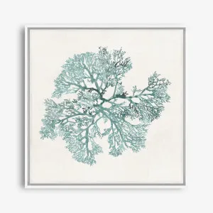 Teal Coral II (Square) Canvas Print by The Print Emporium, a Prints for sale on Style Sourcebook