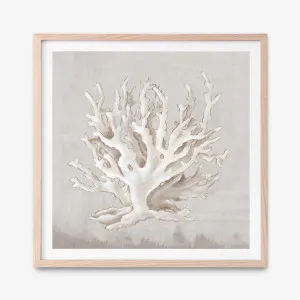 Neutral Shells IV (Square) Art Print by The Print Emporium, a Prints for sale on Style Sourcebook