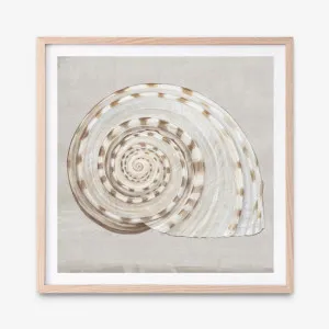 Neutral Shells I (Square) Art Print by The Print Emporium, a Prints for sale on Style Sourcebook