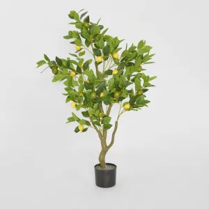 Lemon Tree 120cm by JMC FLORALS, a Lighting for sale on Style Sourcebook