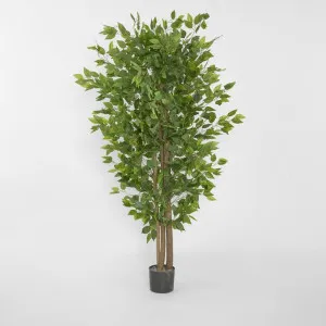 Ficus Tree 160cm by JMC FLORALS, a Lighting for sale on Style Sourcebook