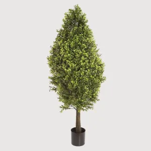 Boxwood Cone 90cm by TREE CREATIONS, a Christmas for sale on Style Sourcebook