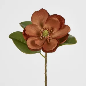 Magnolia Stem 74cm Brown by JMC FLORALS, a Christmas for sale on Style Sourcebook