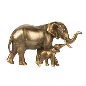 Nairobi Elephant Ornaments by Florabelle Living, a Decorative Accessories for sale on Style Sourcebook