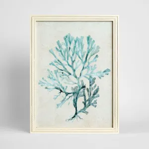 Blue Coral Study 2 Wall Art 45x60cm by Florabelle Living, a Christmas for sale on Style Sourcebook