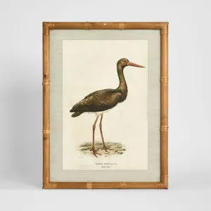 Heron Study A Wall Art 45x60cm by Florabelle Living, a Christmas for sale on Style Sourcebook
