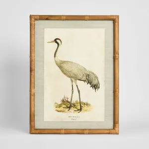 Heron Study B Wall Art 45x60cm by Florabelle Living, a Christmas for sale on Style Sourcebook