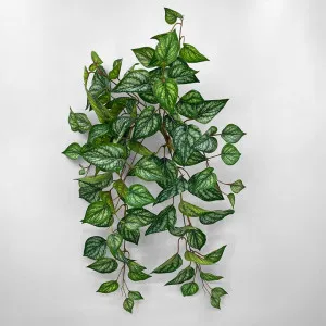 UV Trailing Variegated Bush by Florabelle Living, a Christmas for sale on Style Sourcebook